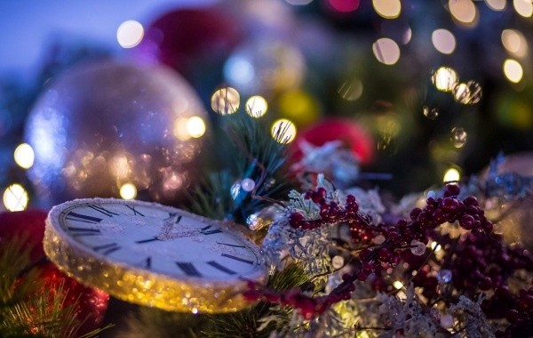 Новогодние каникулы предложили продлить до конца января