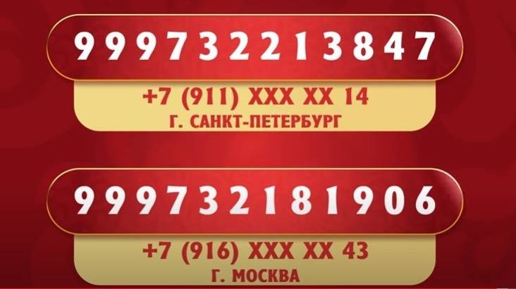 Как проверить билет, участвовавший в розыгрыше «Новогоднего миллиарда» от лотереи «Русское лото»