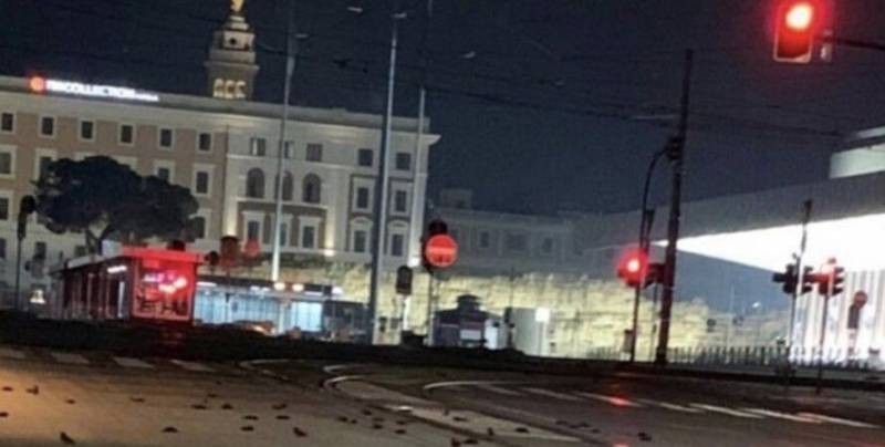 Дождь из мертвых птиц испортил настроение жителям Рима в новогоднюю ночь