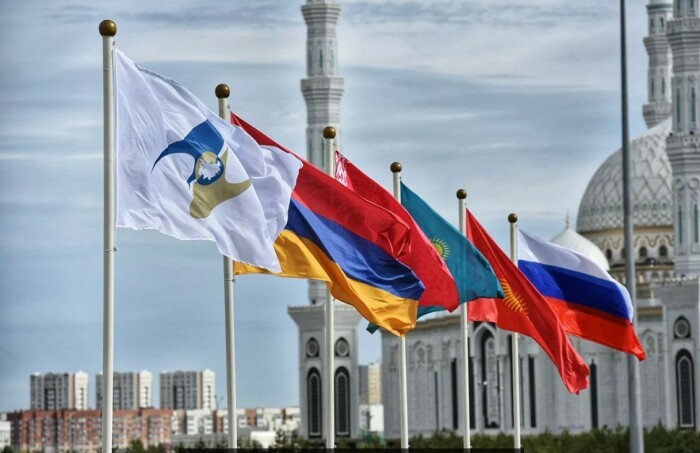 Чага: почему китайцы активно скупают Сибирский гриб