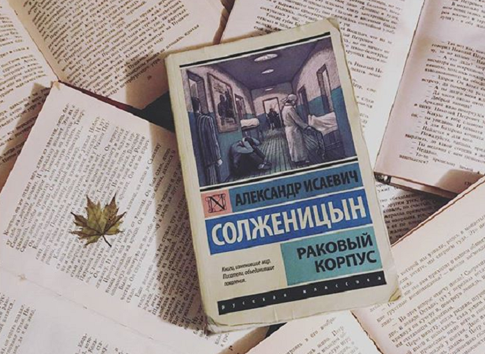 Чага: почему китайцы активно скупают Сибирский гриб