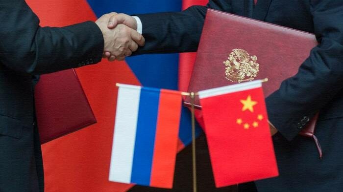 Чага: почему китайцы активно скупают Сибирский гриб