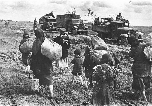 Как в СССР в 1947 году во время голода продавали зерно за границу