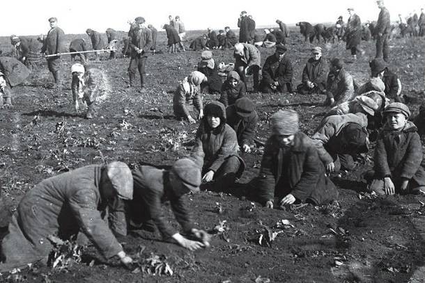 Как в СССР в 1947 году во время голода продавали зерно за границу