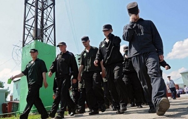 Правозащитники рассказали о шансах на проведение уголовной амнистии в 2021 году