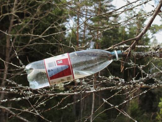 Горчичники, банки, березовый сок - что из этого действительно работает?
