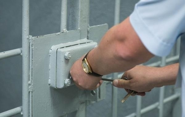 Оценена вероятность проведения уголовной амнистии в честь Дня Победы