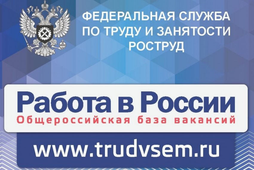 Как происходит порядок подачи заявления на биржу труда онлайн