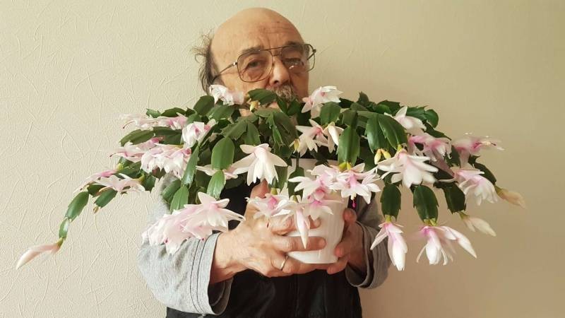 Актёр кино Владимир Фёдоров скончался в 82-летнем возрасте Актёр кино Владимир Фёдоров скончался в 82-летнем возрасте