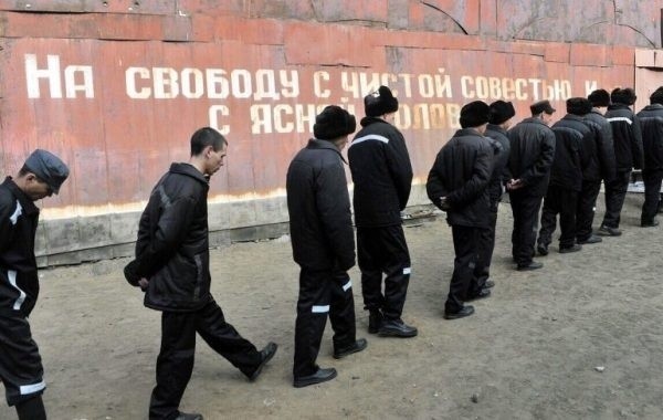 В России предложили провести амнистию для совершивших нетяжкие преступления