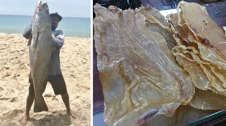 Странные «чёрные рынки», которые в настоящее время существуют на планете