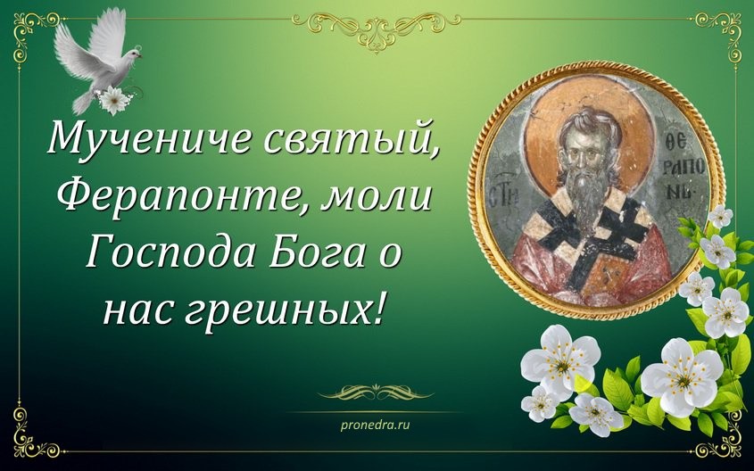 Какой церковный праздник сегодня, 9 июня, почитается в православном мире Какой церковный праздник сегодня, 9 июня, почитается в православном мире