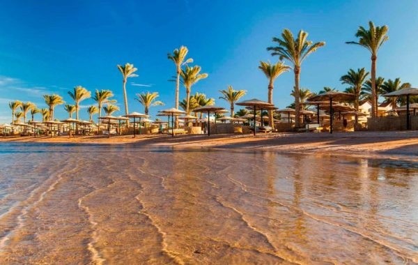 Полеты в Египет планируют открыть по "турецкому сценарию"