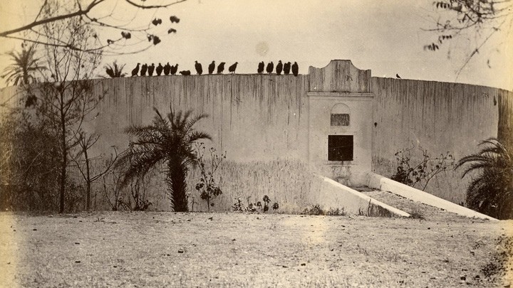 Дахма: ужасные Башни Молчания