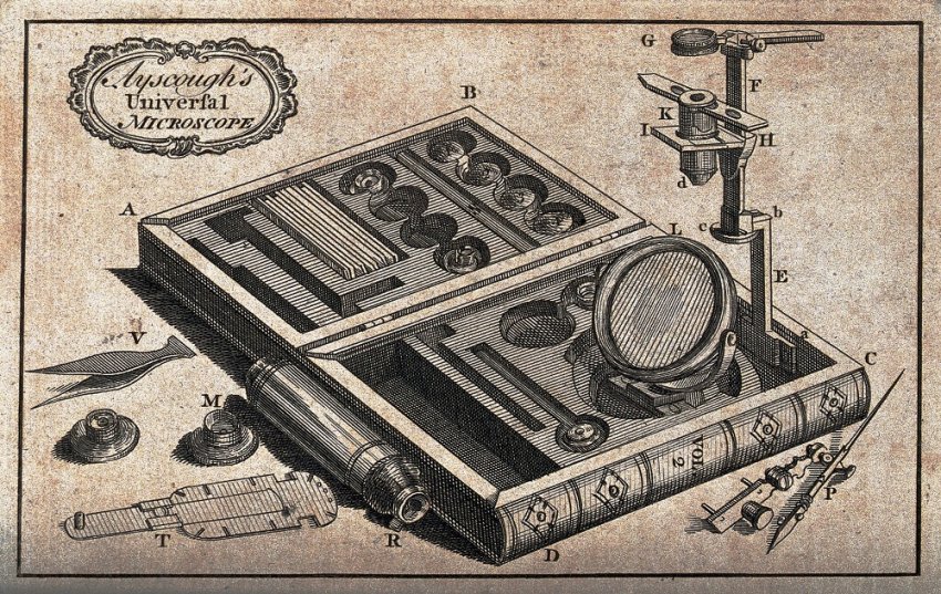 Старинное искусство книжных муляжей