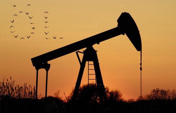 Нефть в природе образуется долго, но найден метод ускорения процесса