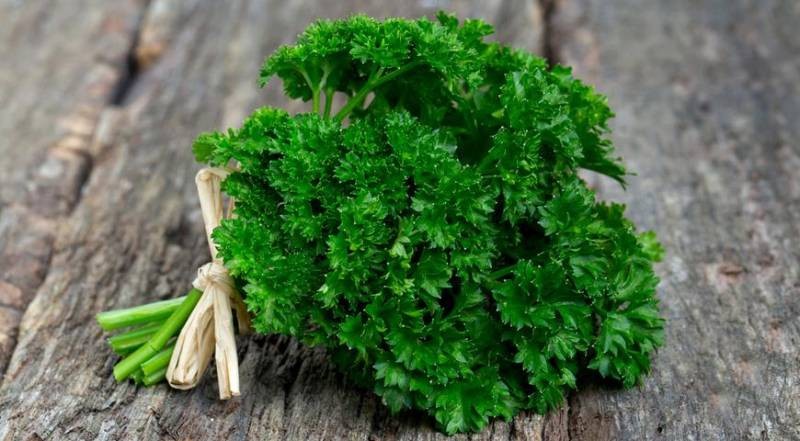 Какие продукты могут повысить риск развития тромбов, по мнению врачей