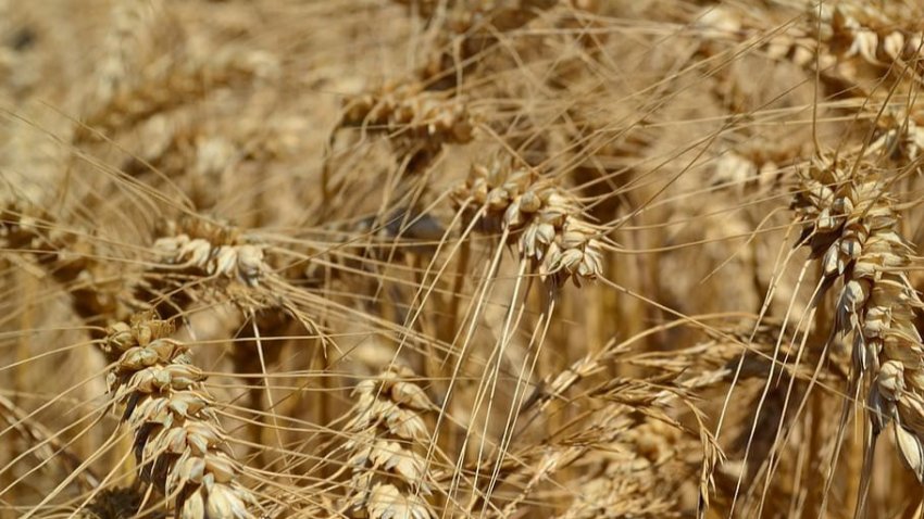 Спецоперация России на Украине сегодня: итоги на 26 мая, последние новости