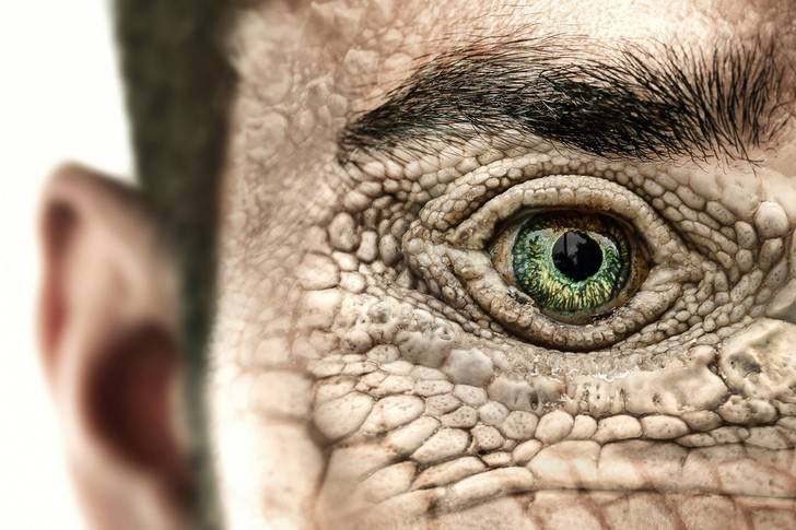 Список знаменитостей, которых подозревают в связях с рептилоидами