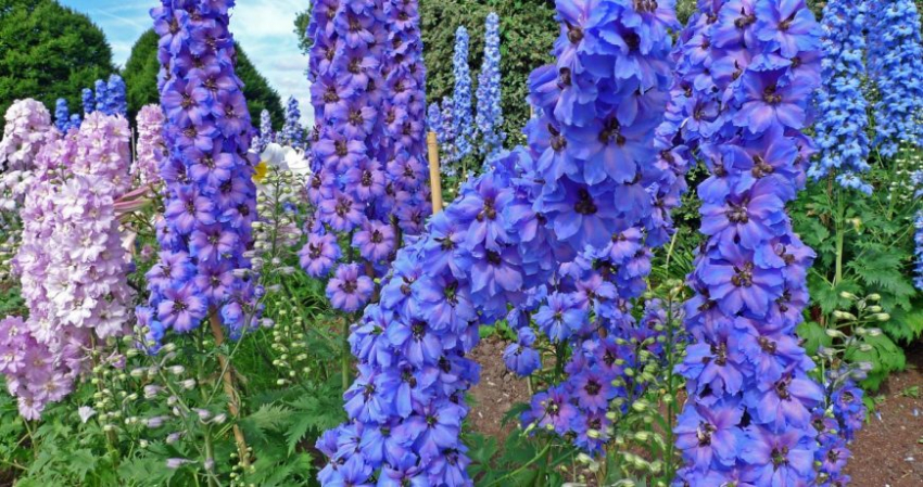 Народные приметы 28 августа 2022 года, в день Успения