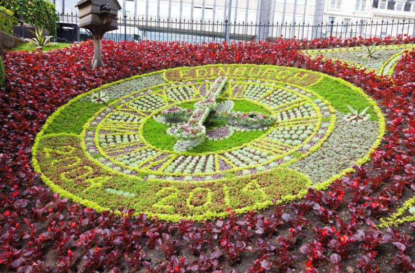 Машины времени: цветущие, гигантские, сверхточные... даже те, которые не говорят вам, который час