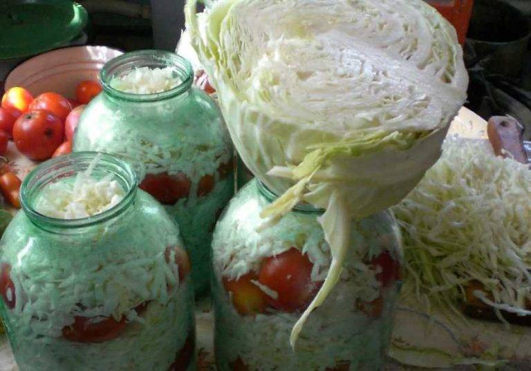 Два самых вкусных рецепта самой квашенной и соленой капусты