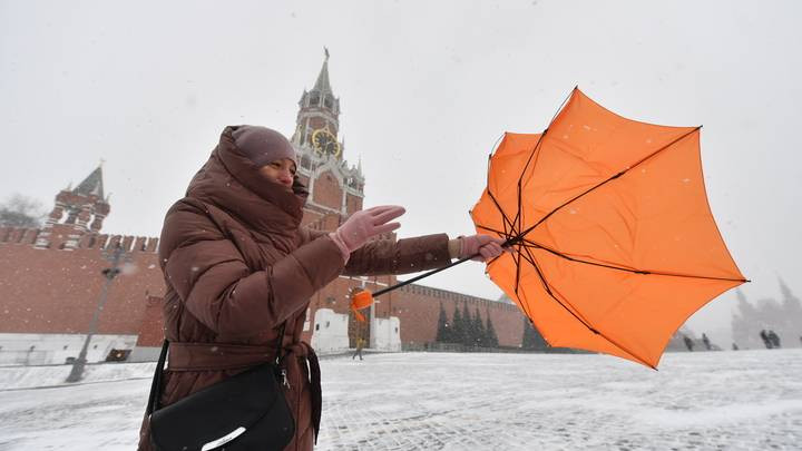 Москву накрыл штормовой ветер: последствия непогоды на сегодня, 13 ноября