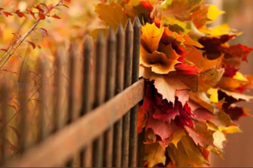 Народные приметы и милые поздравления в последний день осени 30 ноября 2022 года