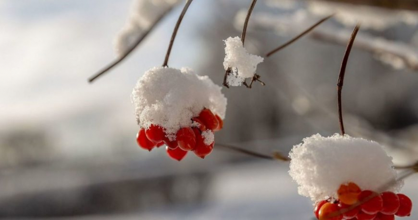 Приметы и поверья на сегодня, 1 декабря