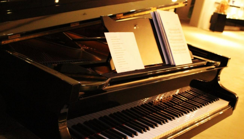 "РИА Новости": В Венеции отменили выступления пианистки Валентины Лисицы, поддержавшей ДНР