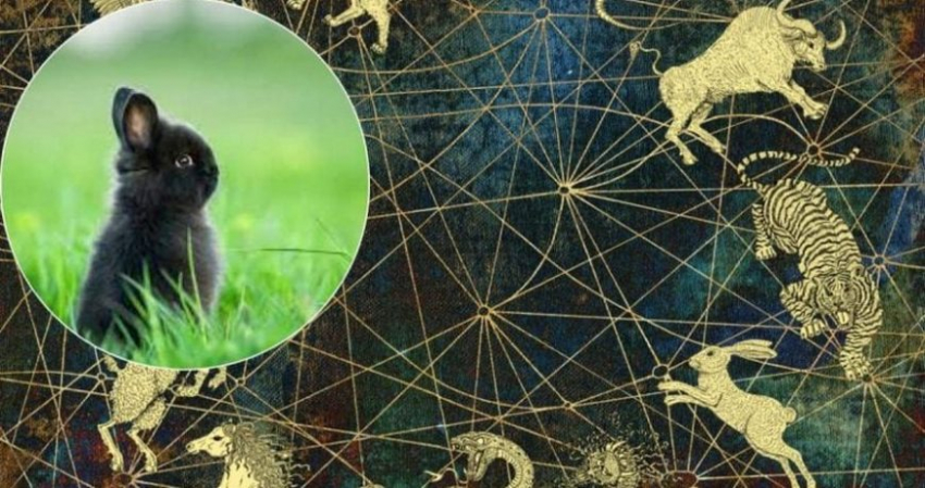 Точная дата наступления 2023 года Кролика по китайскому календарю