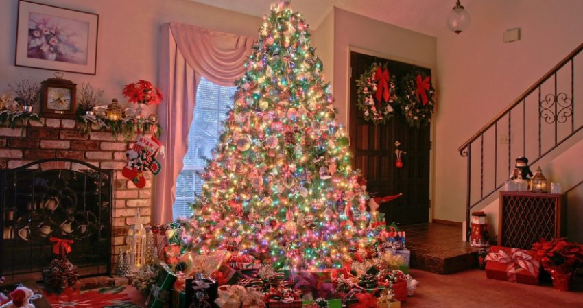 Почему нельзя выбрасывать новогоднюю ёлку как минимум до конца января