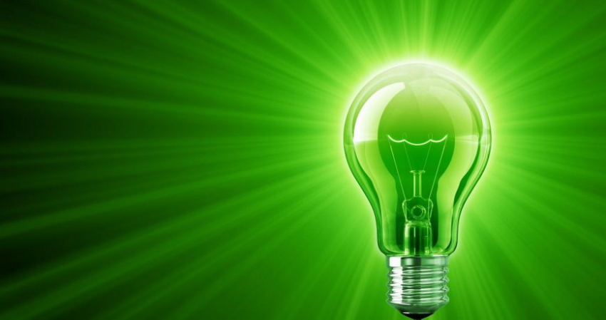 День зеленого света отмечают 23 января