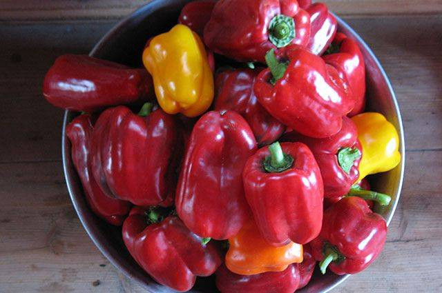 Топ-10 советов, которые помогут вырастить суперурожай перца