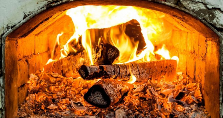 Россиянам рассказали, как купить древесину у государства и построить дом на 40% дешевле