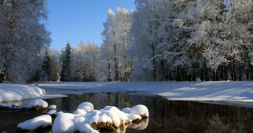 Какой праздник сегодня, 24 февраля