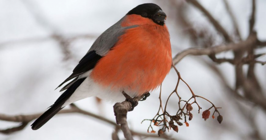 Народные приметы 26 февраля 2023 года в Мартынов день