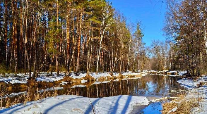 Суровая весна: какой будет погода в марте 2023 года в Сибири, Москве, Санкт-Петербурге и на Дальнем Востоке