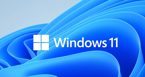 Обновление Windows 11 Moment 2 вызвал неполадки в работе SSD