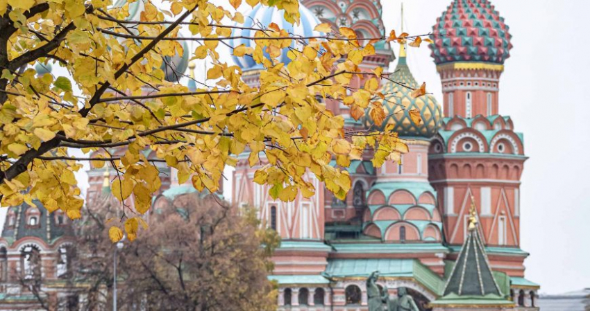 Прогноз погоды для Москвы, Питера, Новосибирска и Владивостока на начало весны 2023 года