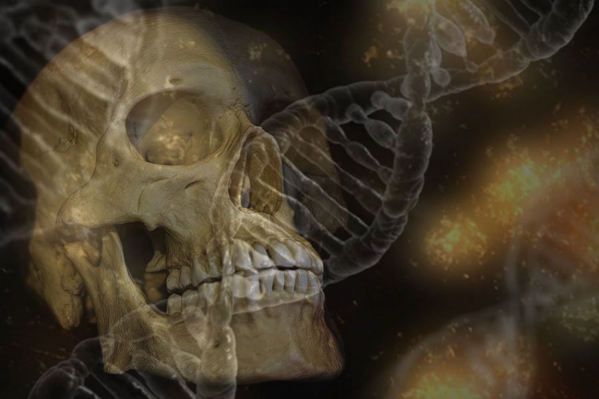 Гены, которые помогли пережить Черную смерть, продолжают влиять на смертность людей и сегодня