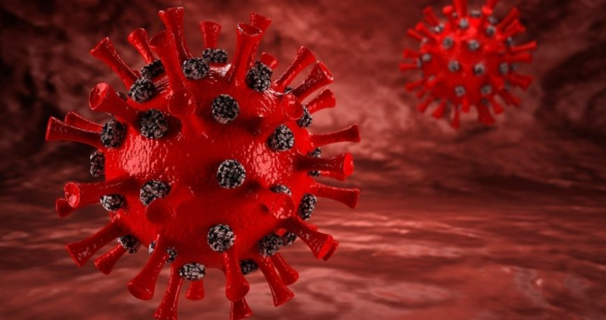 Понятие прионных заболеваний, кто в группе риска и что делать, чтобы не инфицироваться