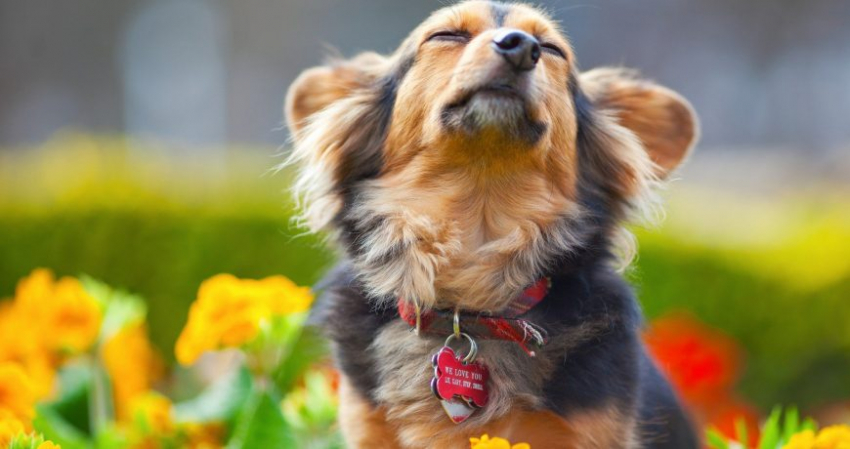 12 марта в России отмечают День запрета на уныние