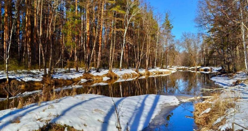 14 марта отмечают славянский праздник Овсень малый