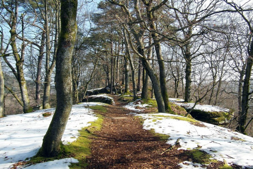 Народные приметы 26 марта: Не делайте этого в Никифоров день, если не хотите навлечь на себя беду