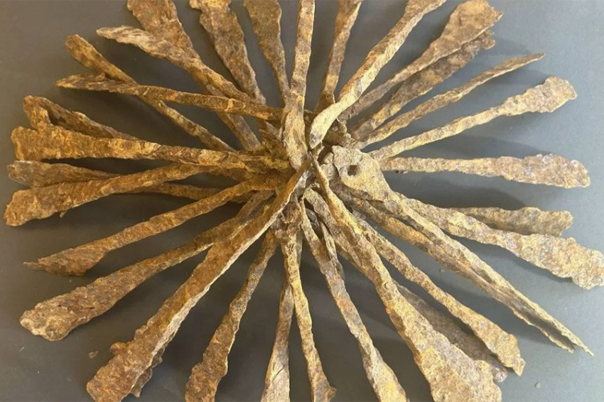 Жительница Норвегии нашла в подвале 1000-летний клад эпохи викингов