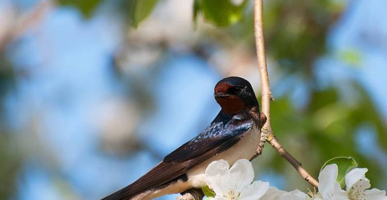 Федор Житник 29 мая 2023 года имеет свои оригинальные приметы, традиции и обряды