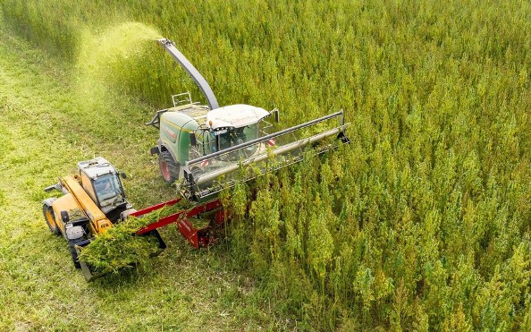 Евгений Скигин, основатель группы компаний «Коноплекс»: «Чтобы привлекать инвесторов, им необходимо гарантировать защиту прав» - Новая общественная газета