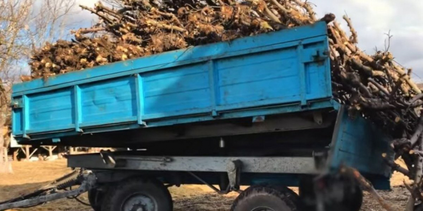 Европа и дрова