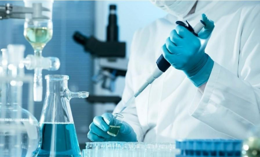 Роспотребнадзор опроверг распространение египетской болезни в России